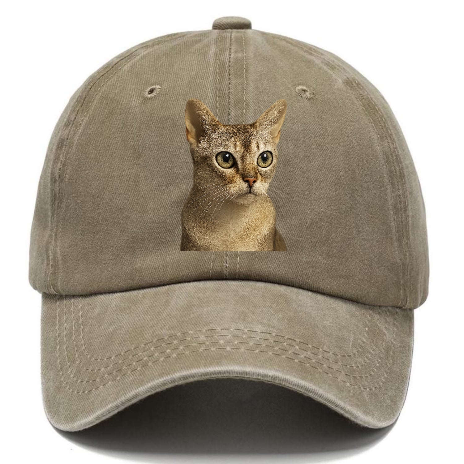 singapura-playful-spirit Hat