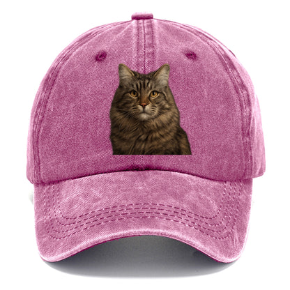 maine coon majestic feline Hat