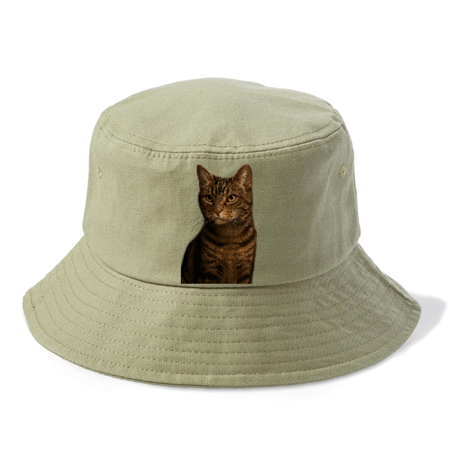 brown-tabby-cozy-charm Hat