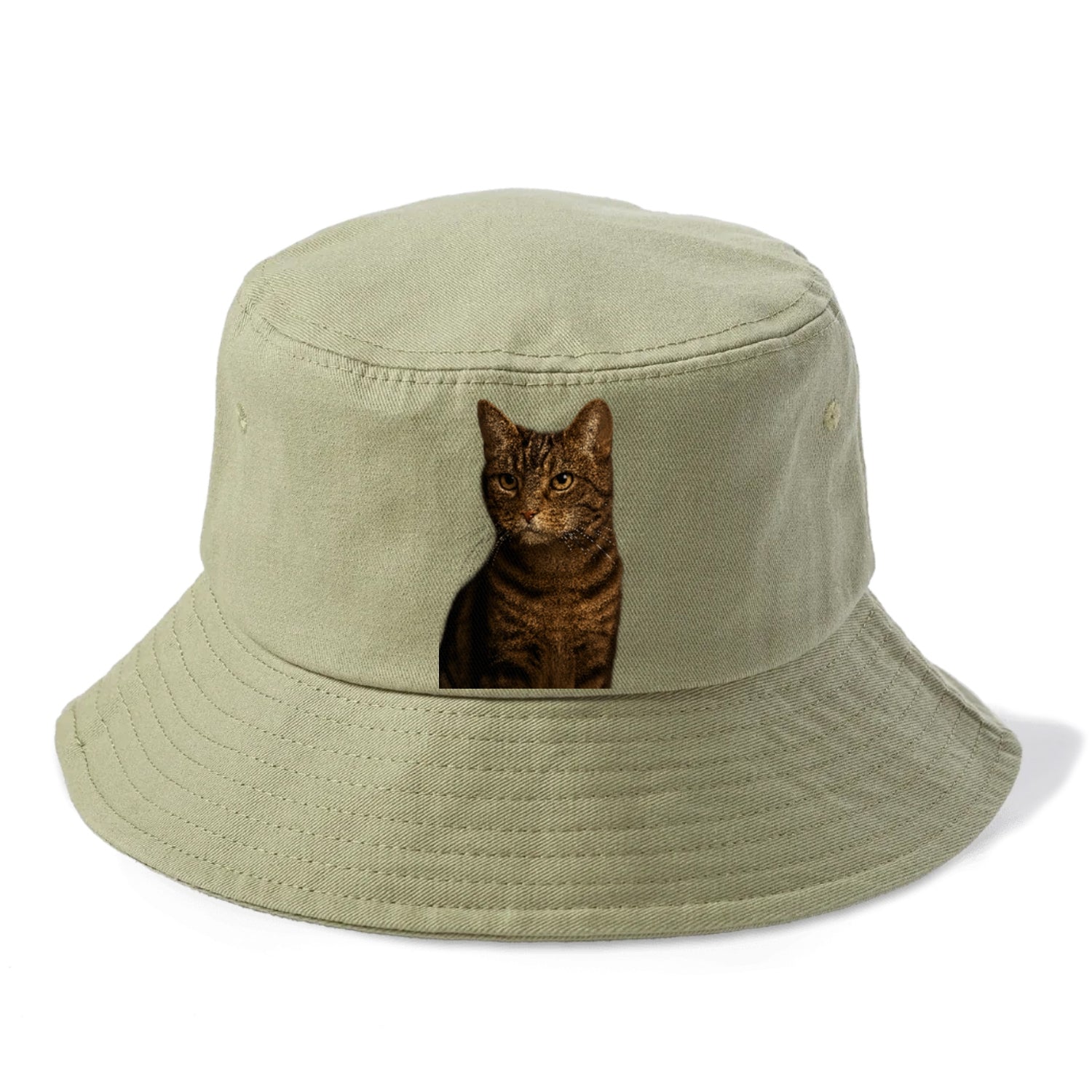 brown-tabby-cozy-charm Hat