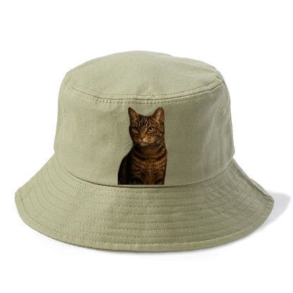 brown-tabby-cozy-charm Hat