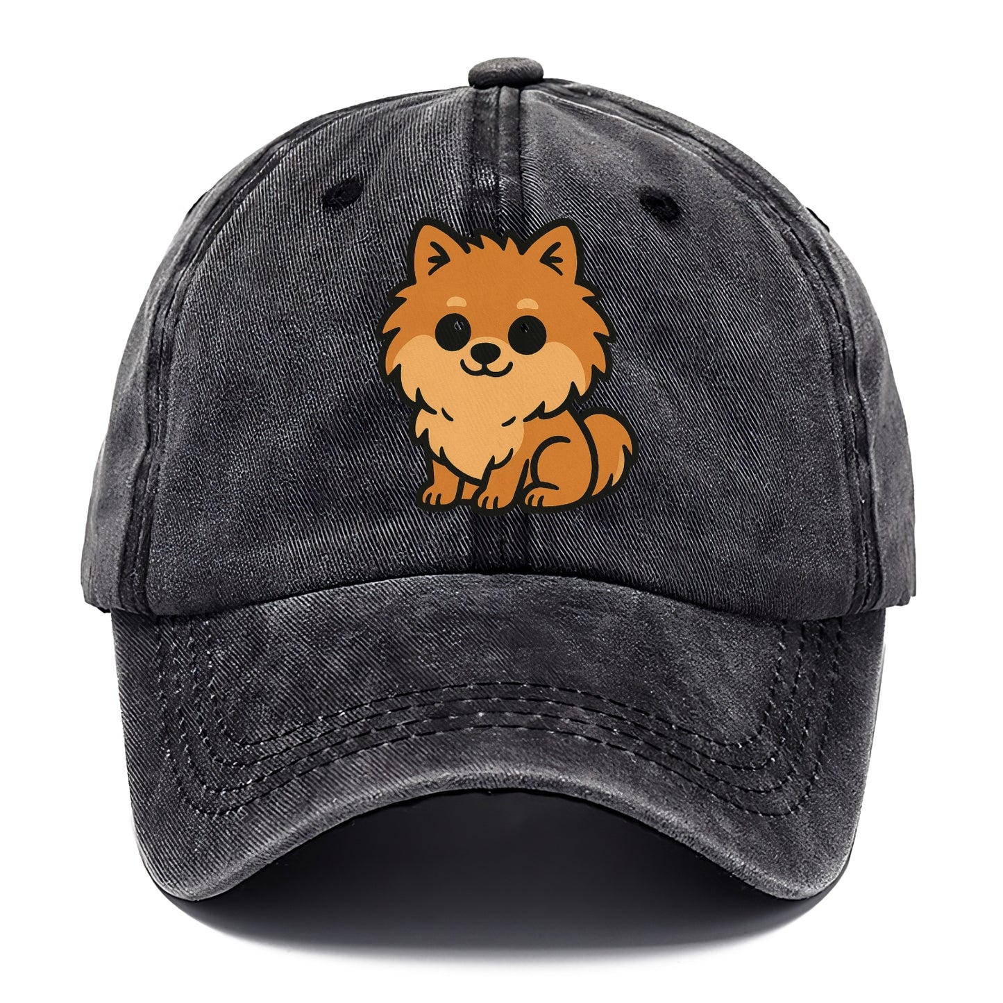 pomeranian orange fluffy sitting pose portrait design Hat