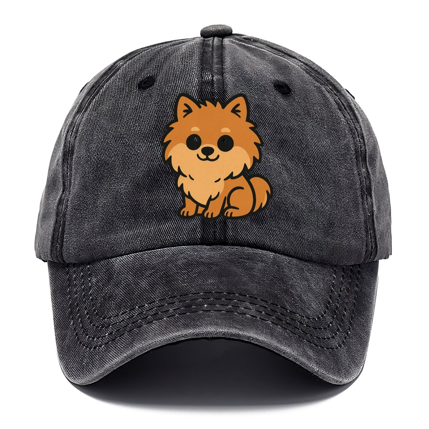 pomeranian orange fluffy sitting pose portrait design Hat