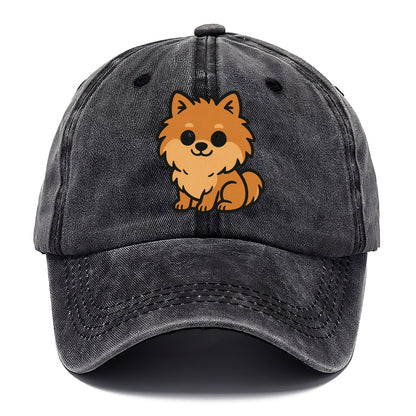 pomeranian orange fluffy sitting pose portrait design Hat