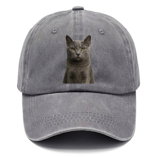 gray-cat-mysterious-charm Hat