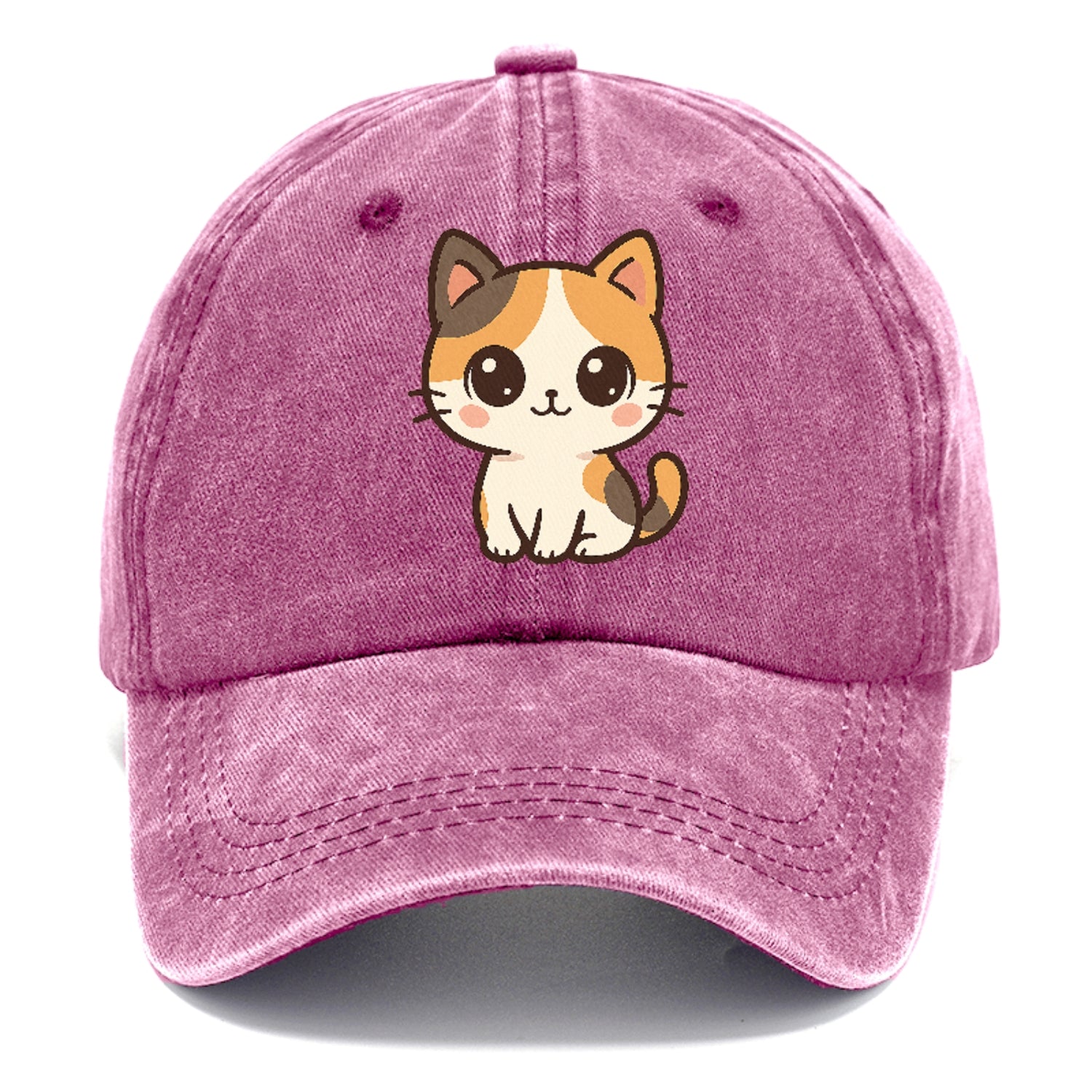 calico-vibrant-spirit Hat