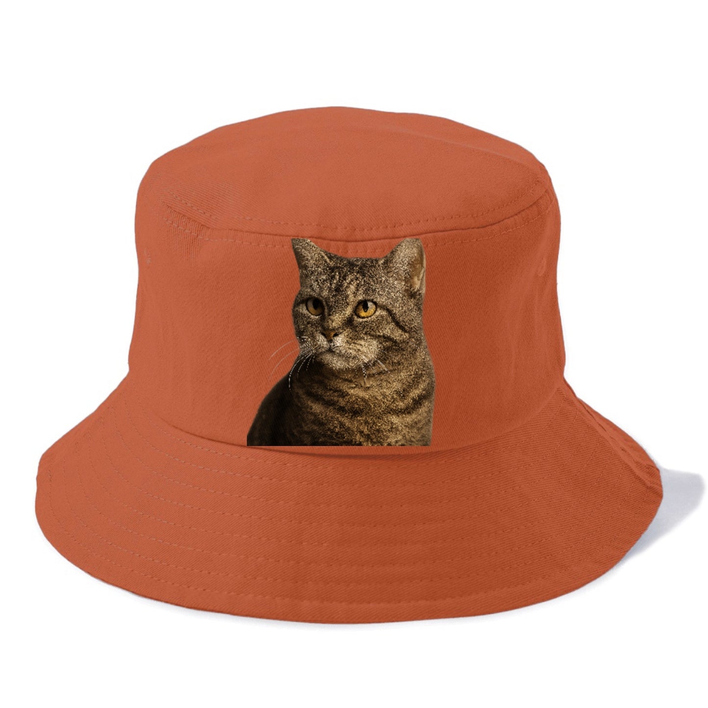 american-wirehair-unique-texture Hat