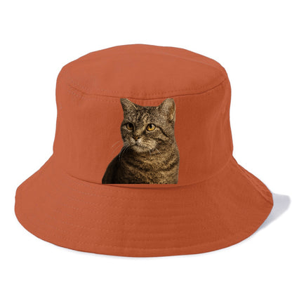 american-wirehair-unique-texture Hat