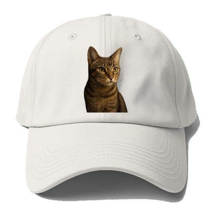 playful-cat-playful-spirit Hat