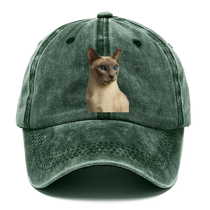 lilac-point-siamese-elegant-mystique Hat
