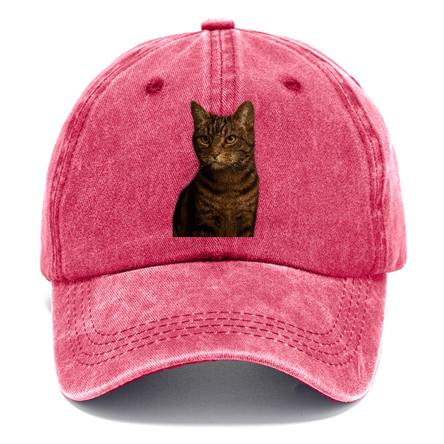 brown-tabby-cozy-charm Hat