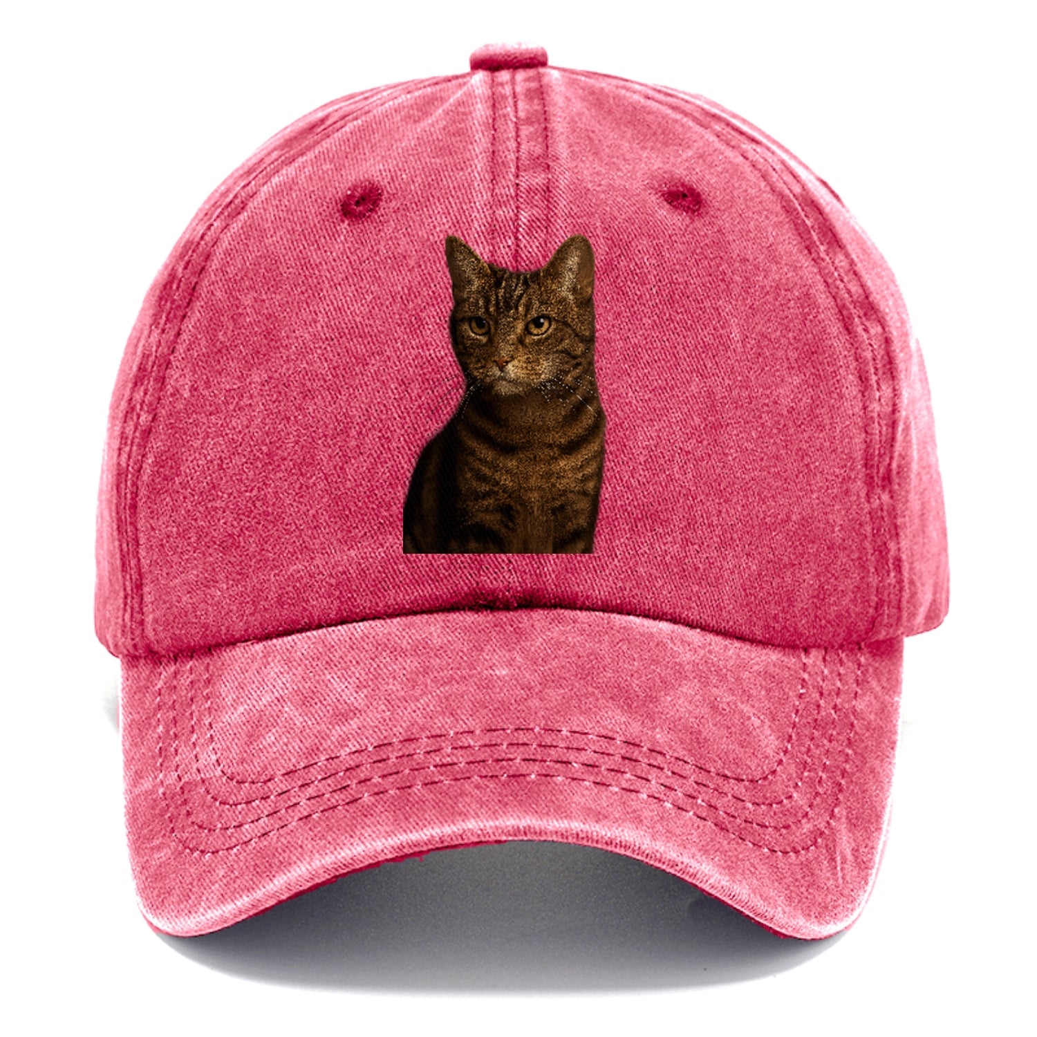 brown-tabby-cozy-charm Hat