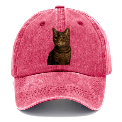 brown-tabby-cozy-charm Hat