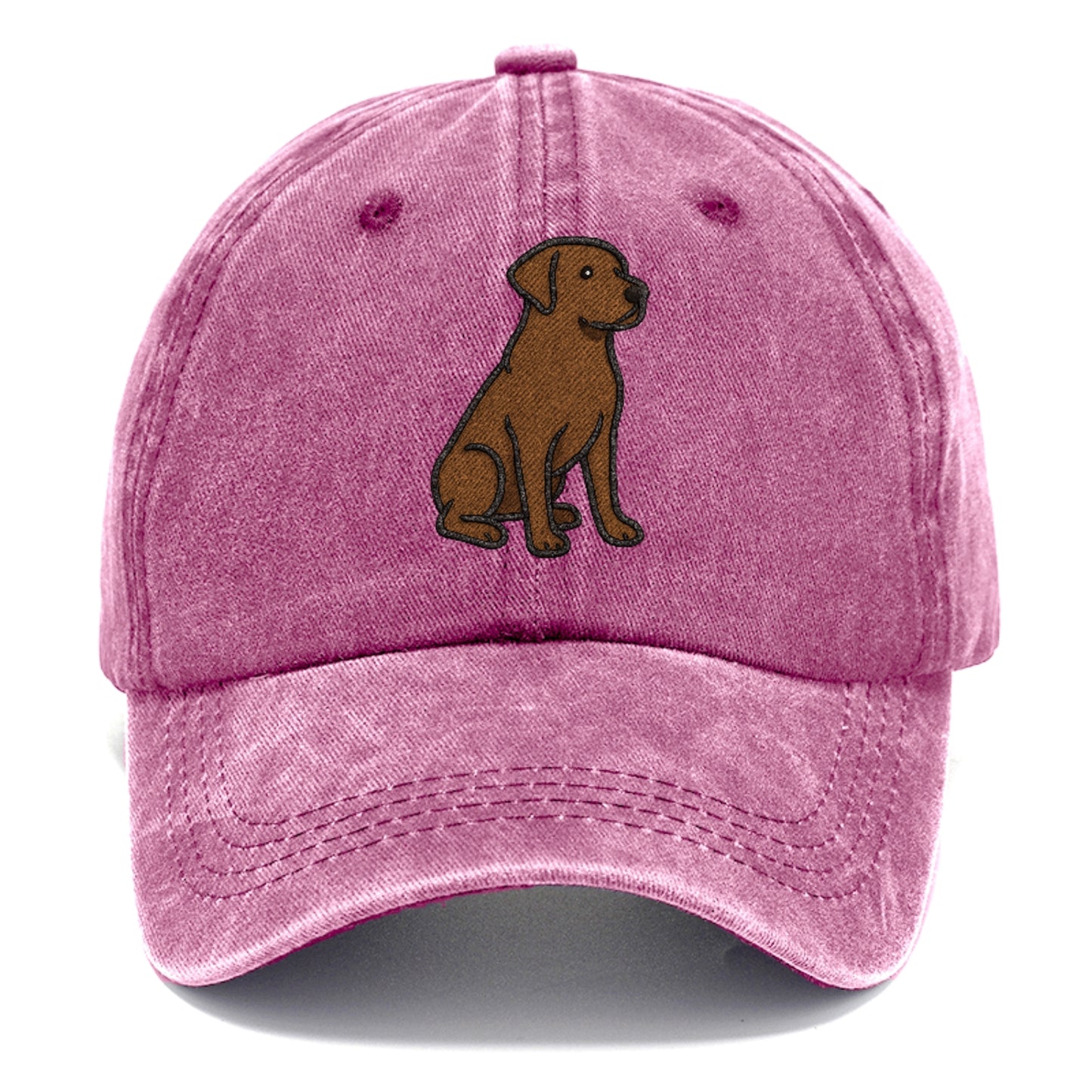 chocolate-labrador-retriever-loyal-companion Hat