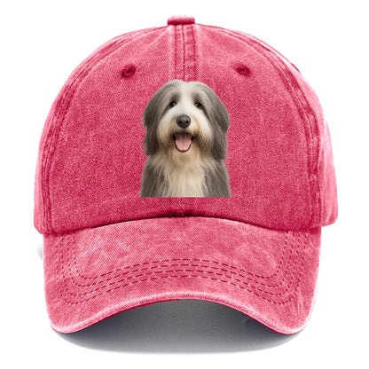 bearded collie: whimsical wanderer Hat
