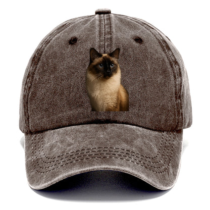 birman-gentle-charm Hat