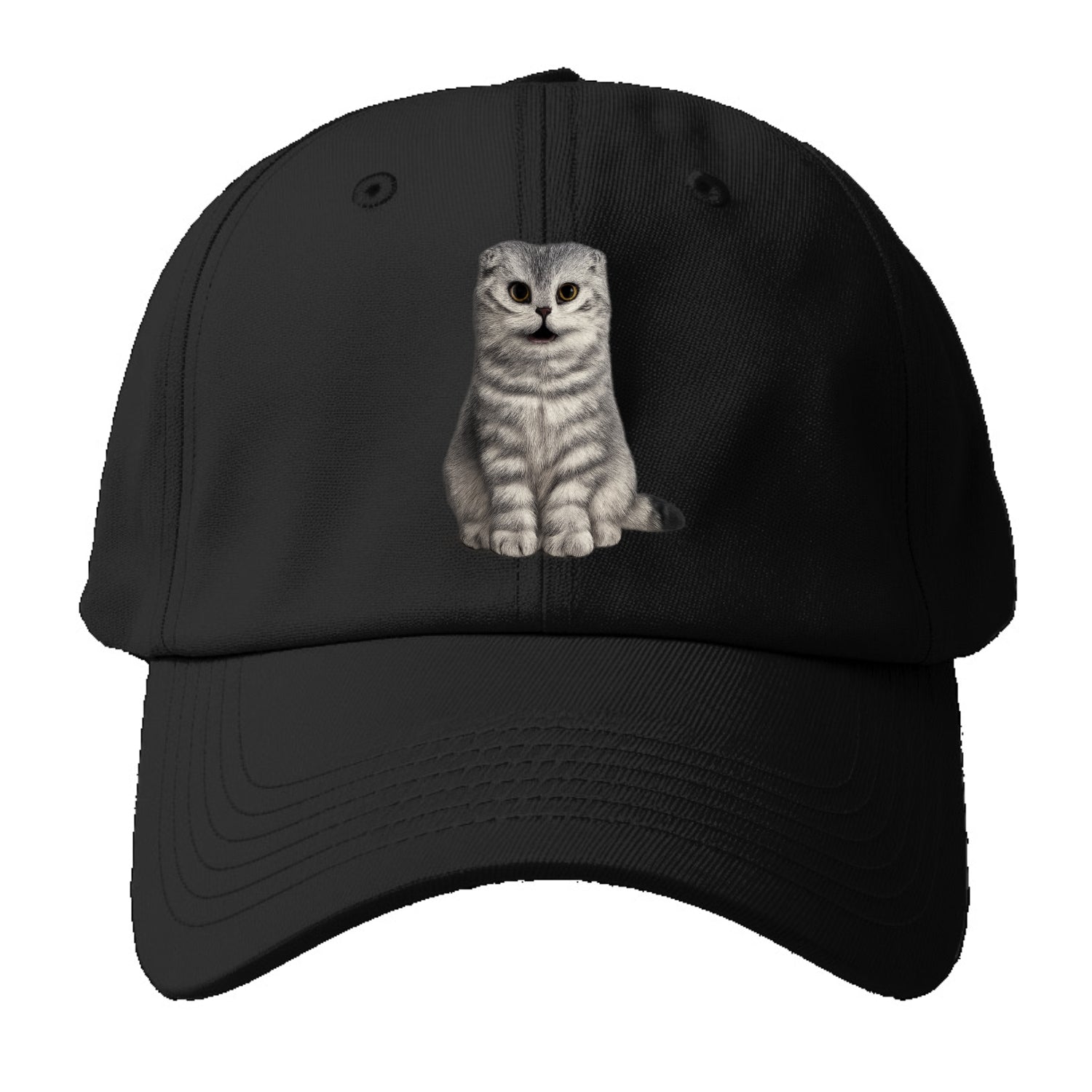 surprised striped cat whimsical portrait Hat