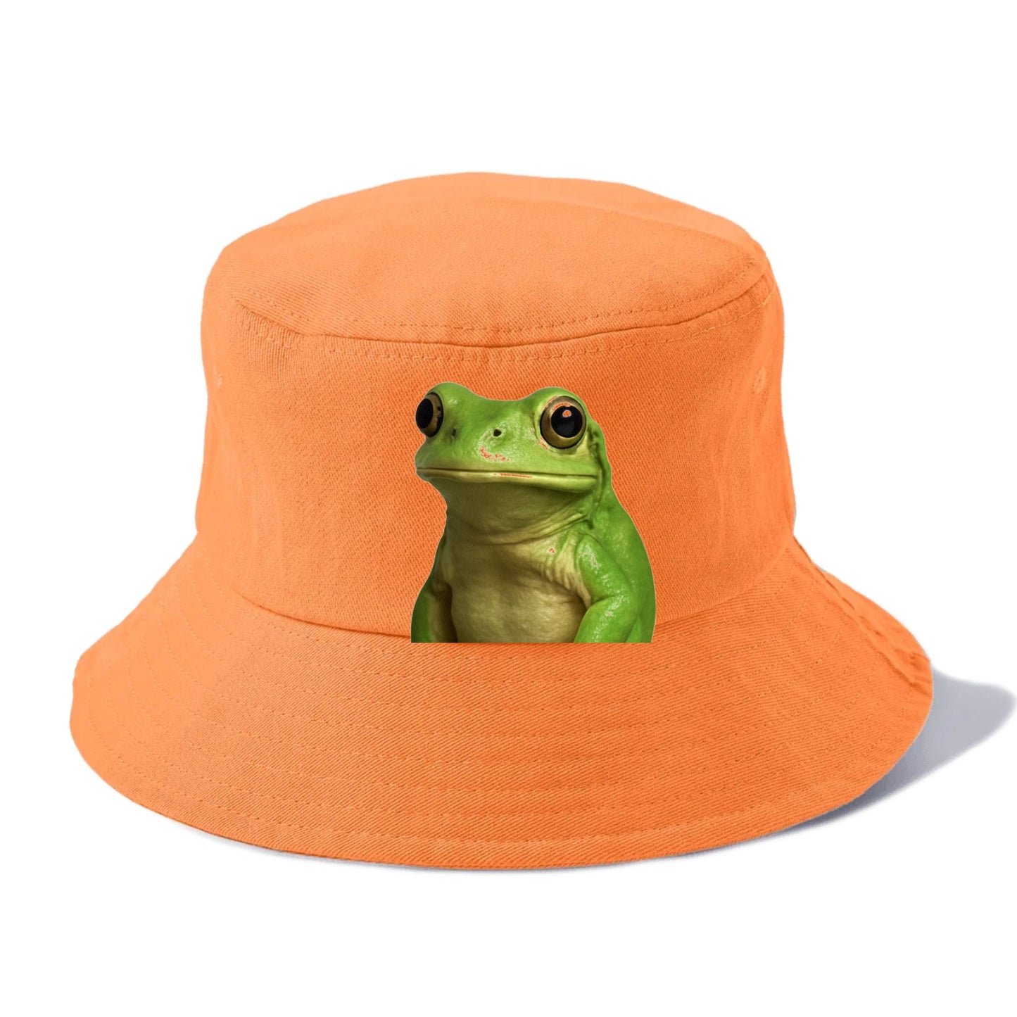 frog portrait design Hat