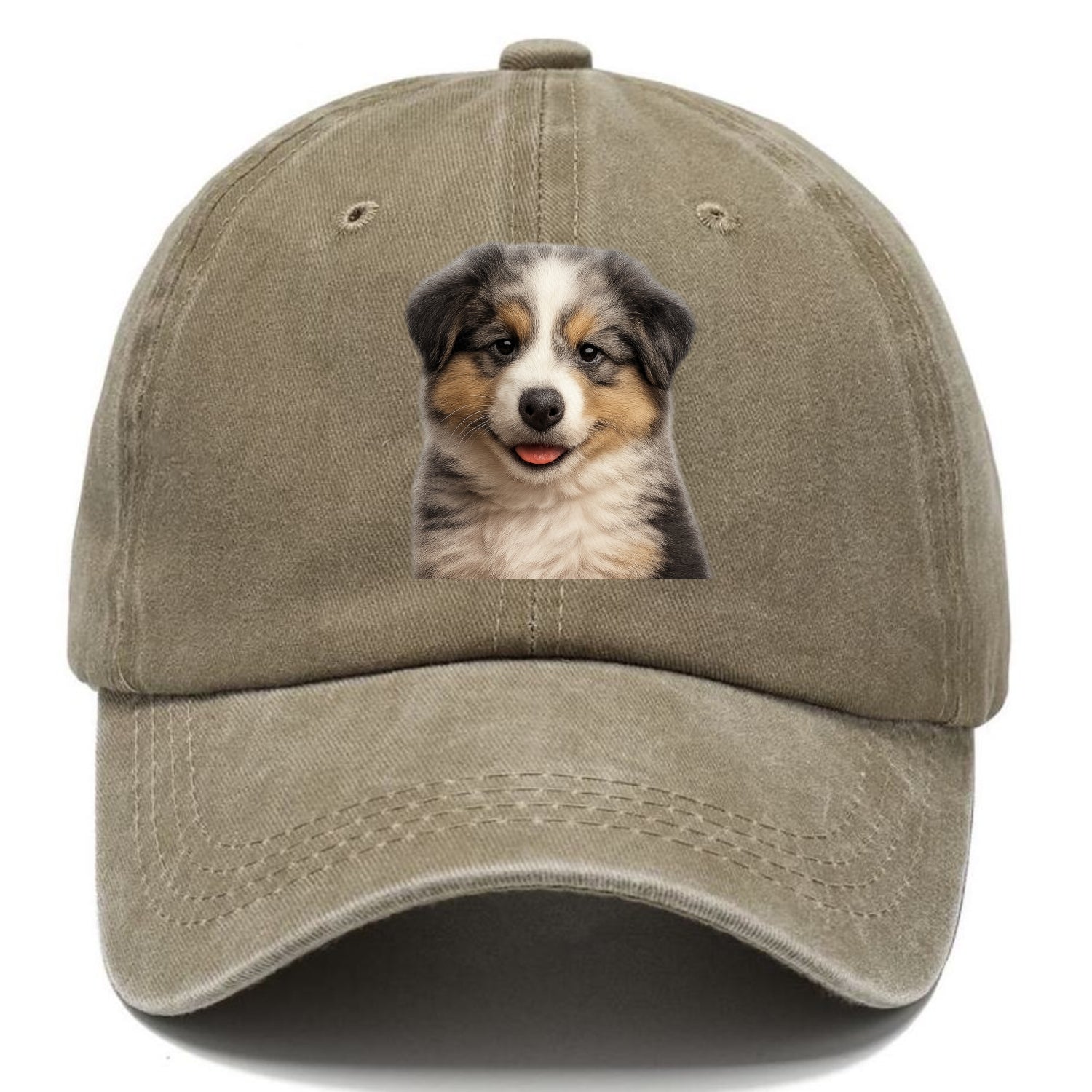 australian shepherd puppy portrait design Hat