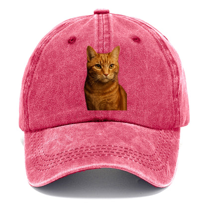orange-tabby-playful-purr Hat