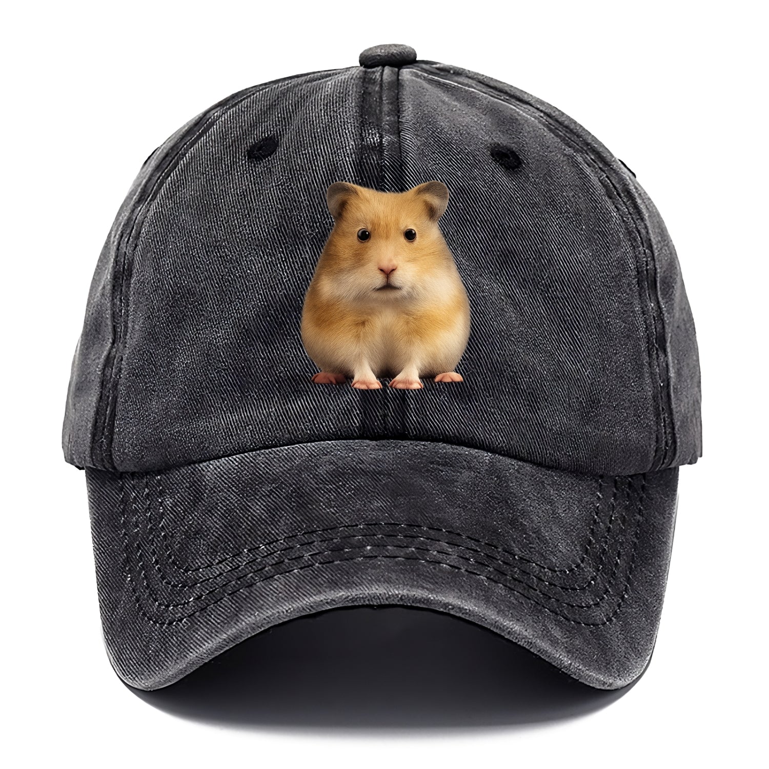 cute realistic hamster illustration portrait Hat