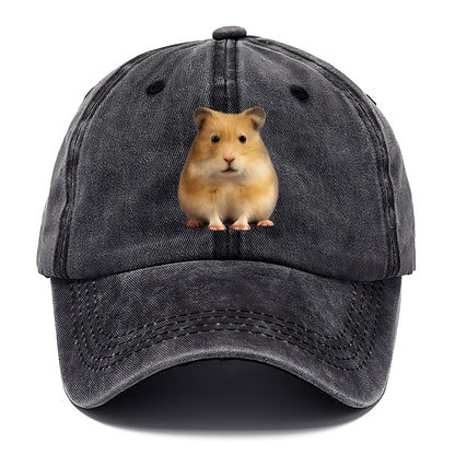 cute realistic hamster illustration portrait Hat