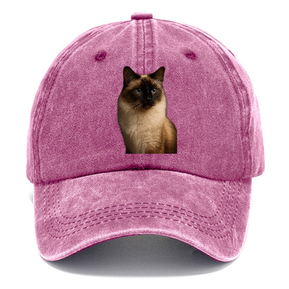 birman-gentle-charm Hat