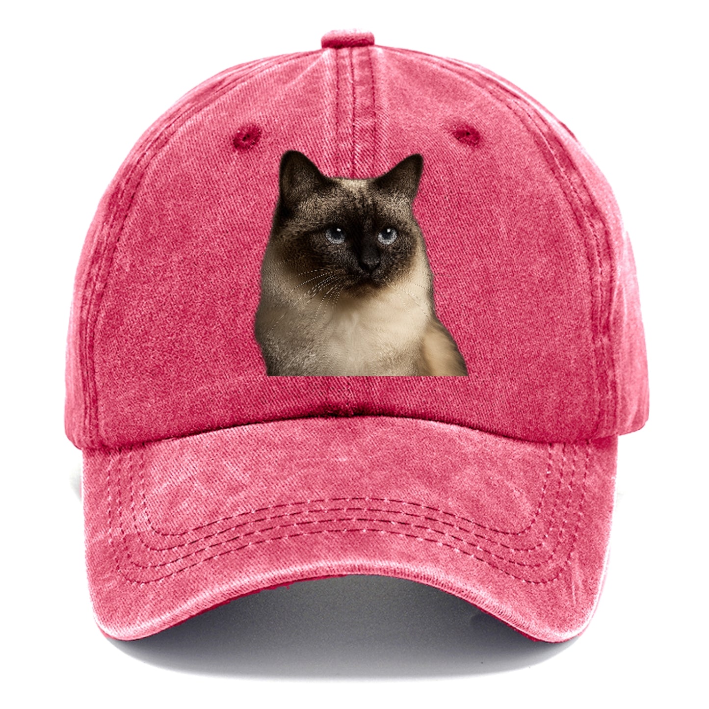 birman-cat-serene-elegance Hat