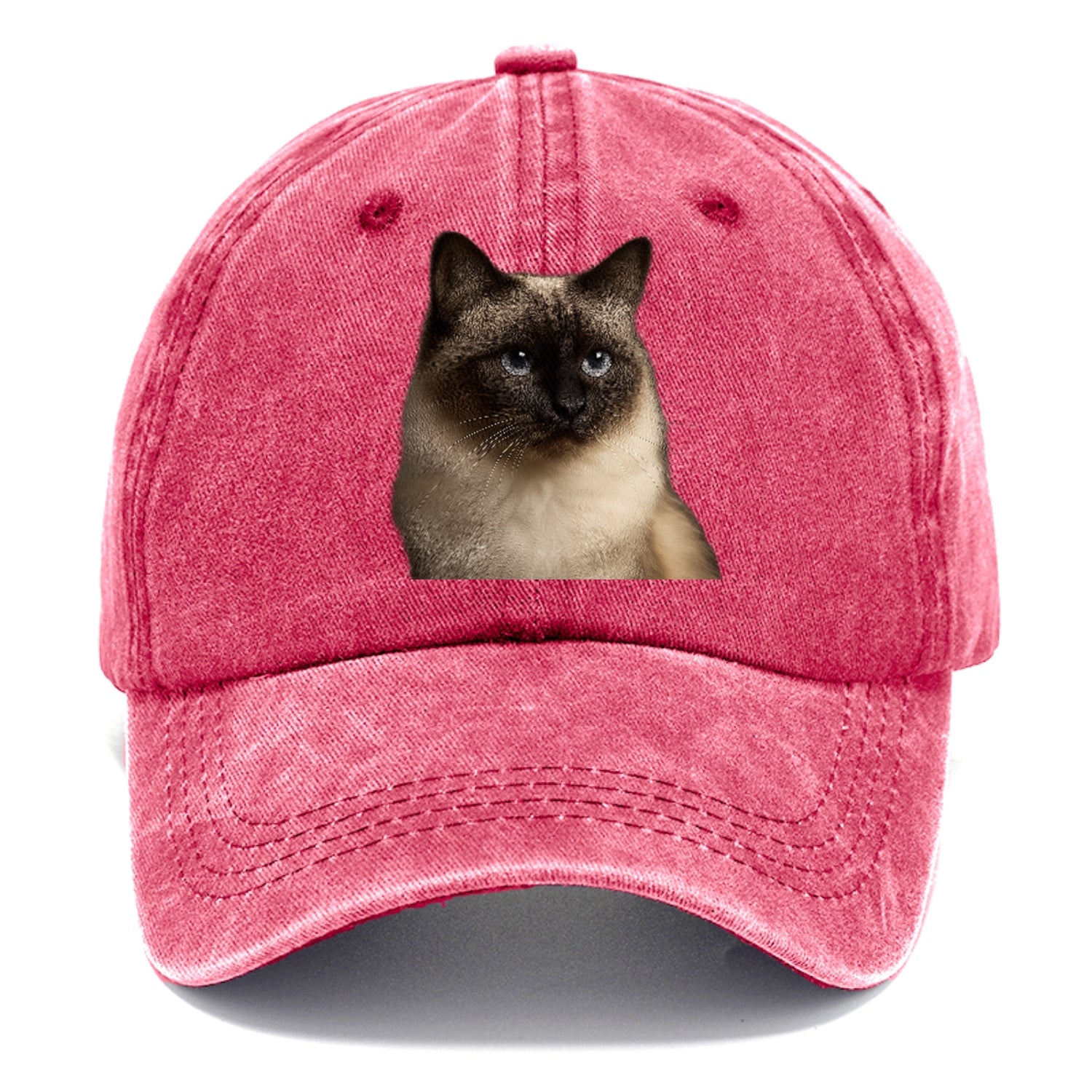 birman-cat-serene-elegance Hat