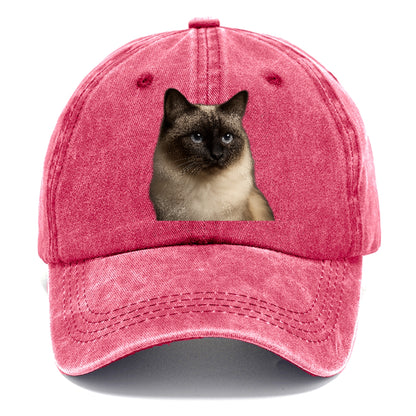 birman-cat-serene-elegance Hat