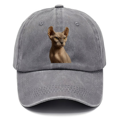 dwelf-mystical-aura Hat