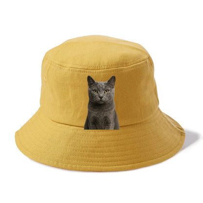 gray-cat-mysterious-charm Hat