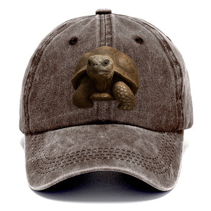 tortoise portrait design Hat