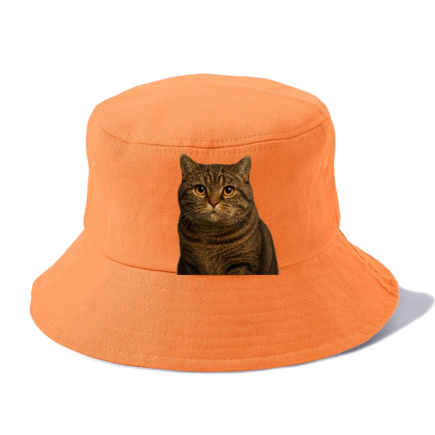 manx-cat-distinct-charm Hat
