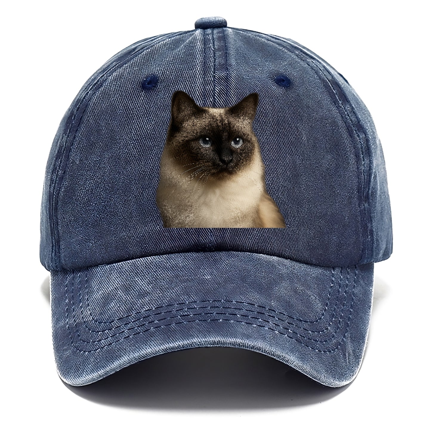 birman-cat-serene-elegance Hat