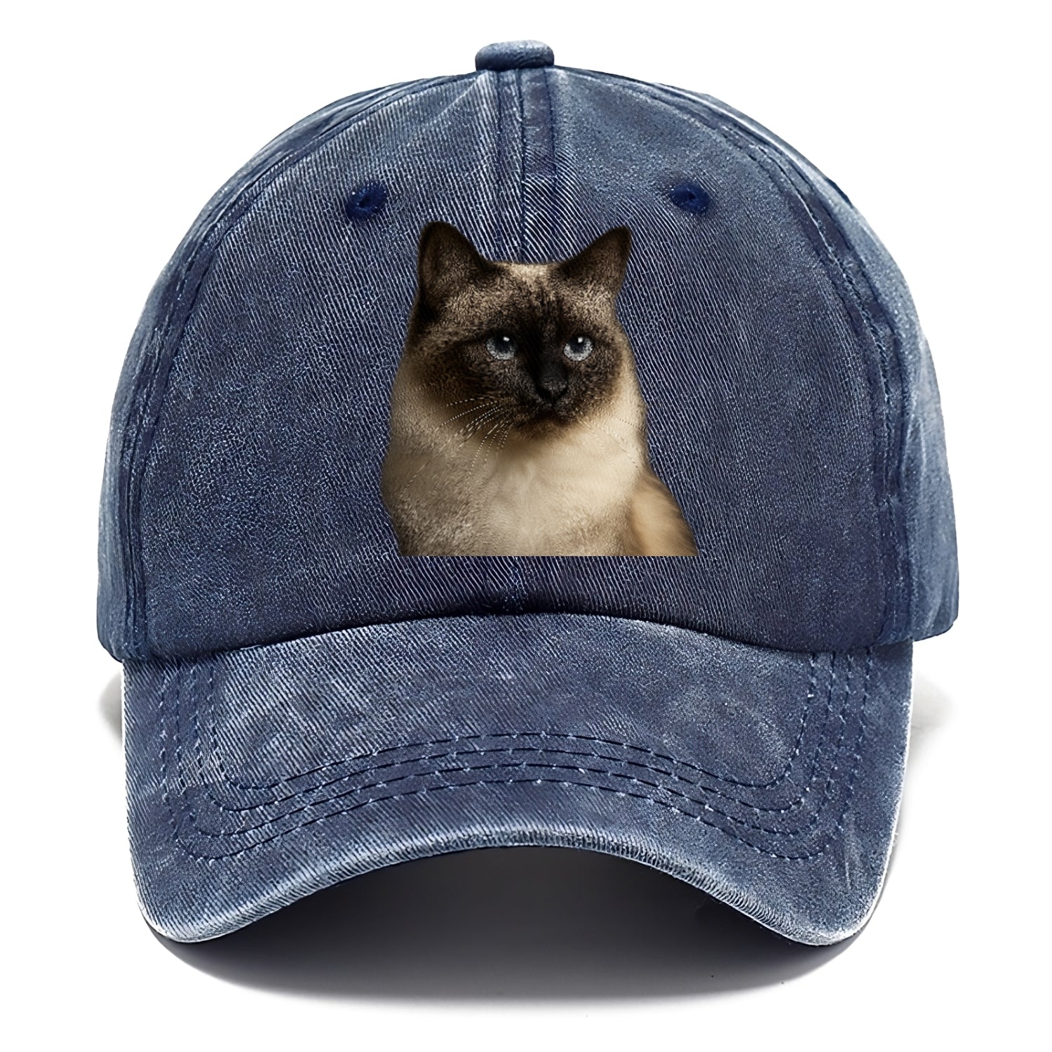 birman-cat-serene-elegance Hat