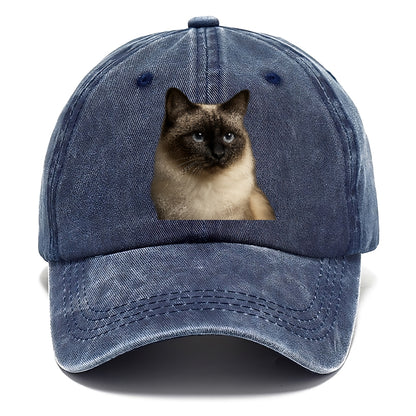 birman-cat-serene-elegance Hat