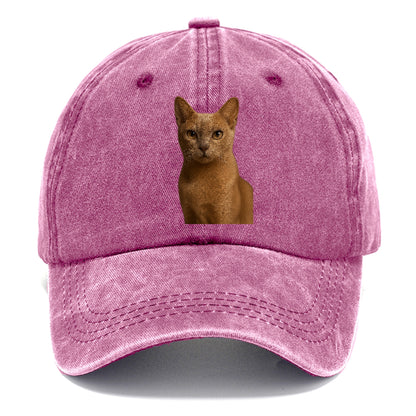 fawn-cat-playful-spirit Hat