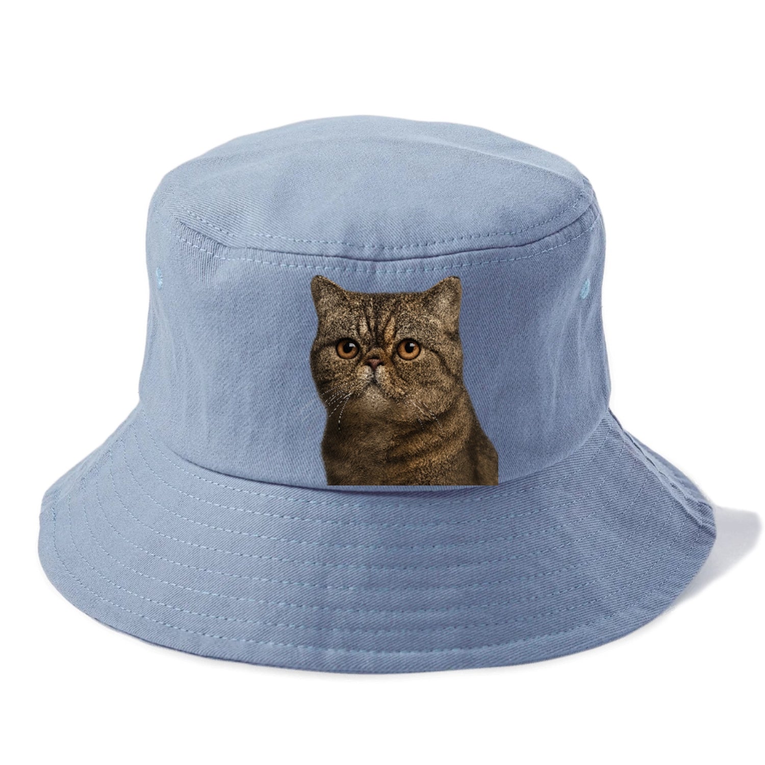 exotic-shorthair-calm-demeanor Hat