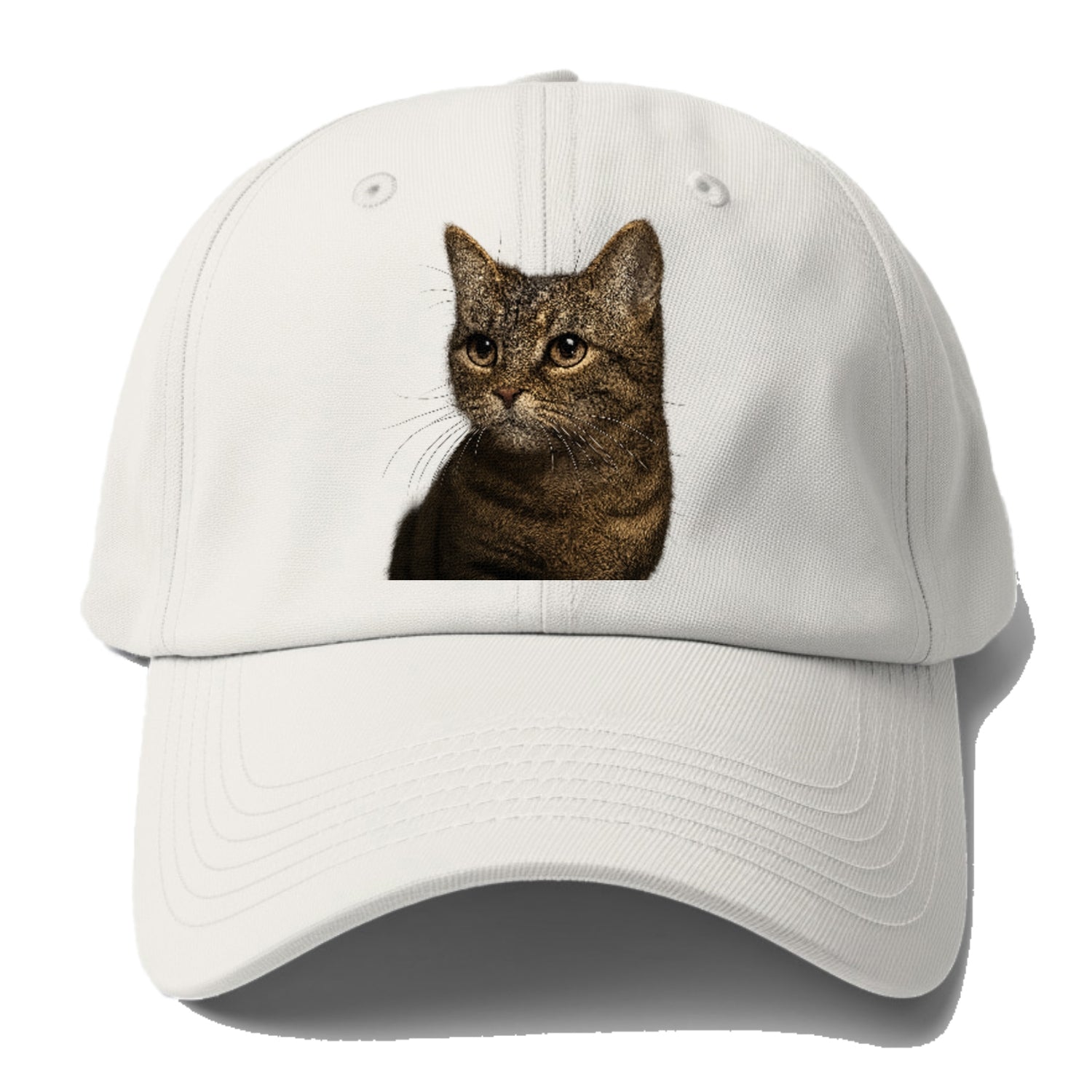 munchkin-cat-charming-spirit Hat