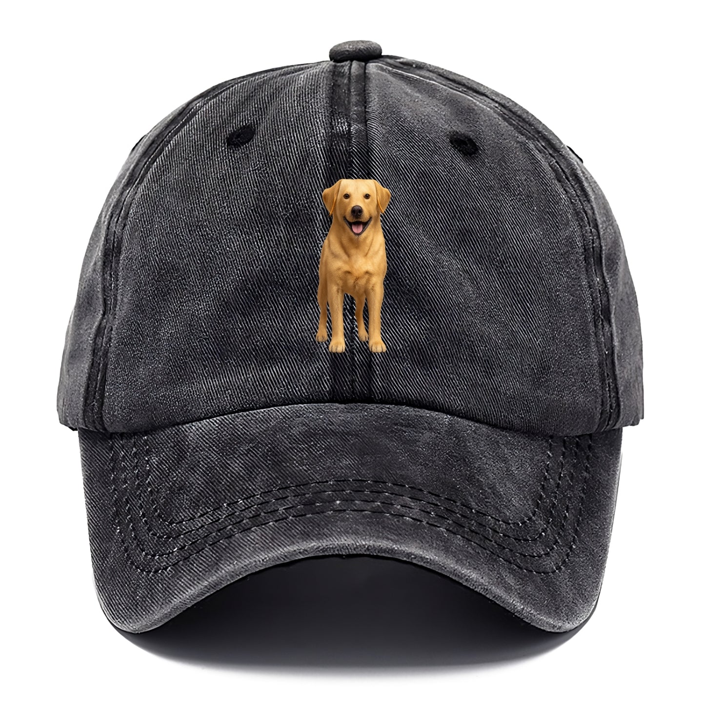 happy golden labrador retriever portrait Hat