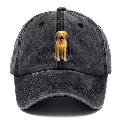 happy golden labrador retriever portrait Hat
