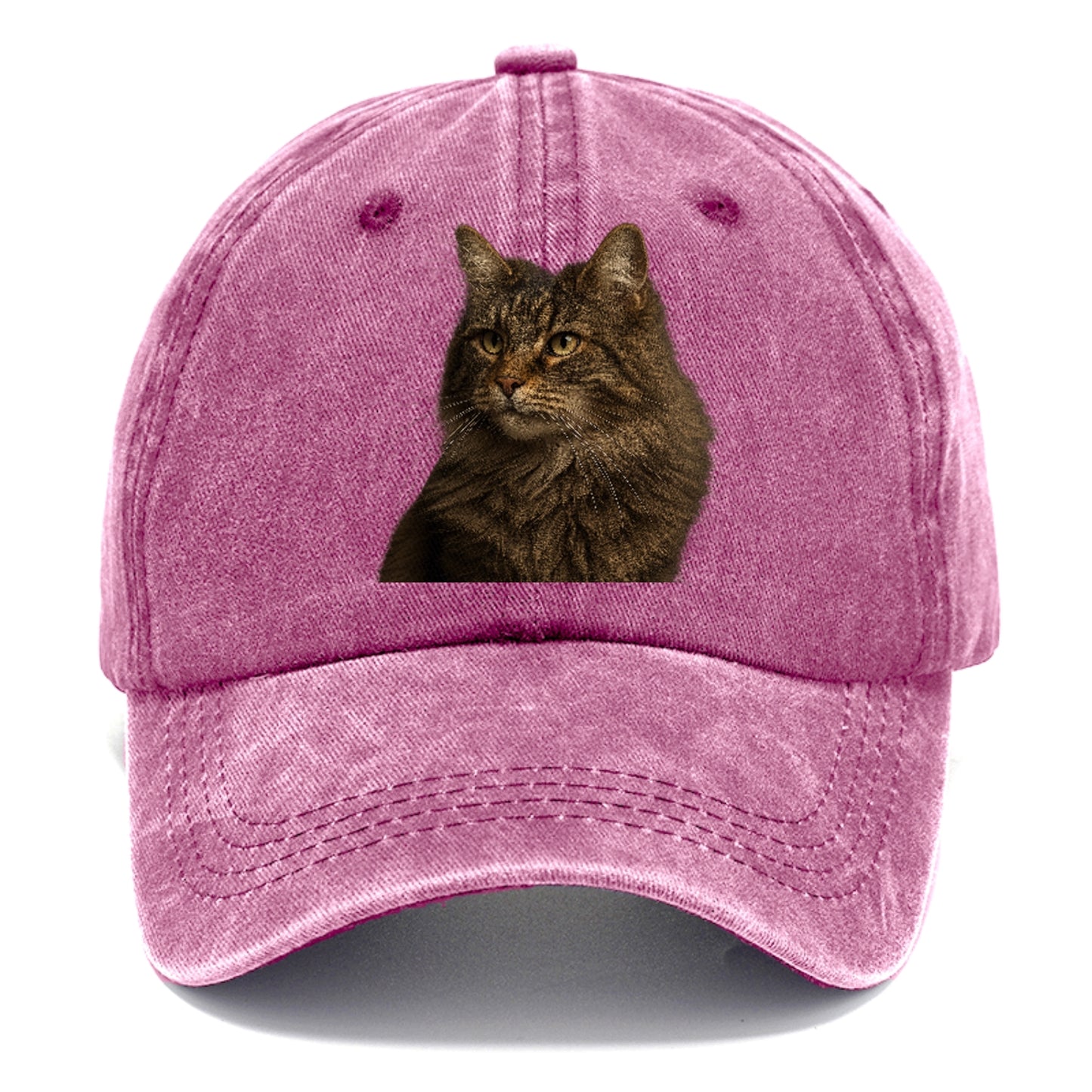norwegian-forest-cat-wild-majesty Hat
