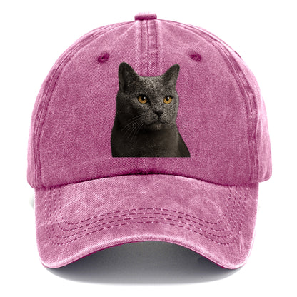 chartreux-quiet-grace Hat