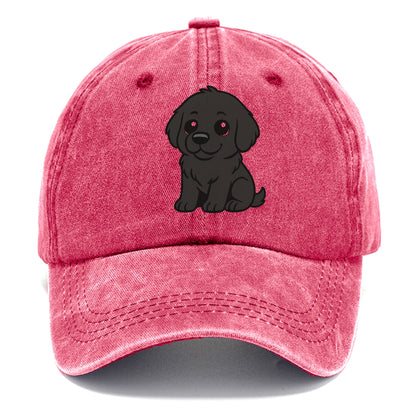 newfoundland black sitting pose with gentle giant expression portrait design Hat