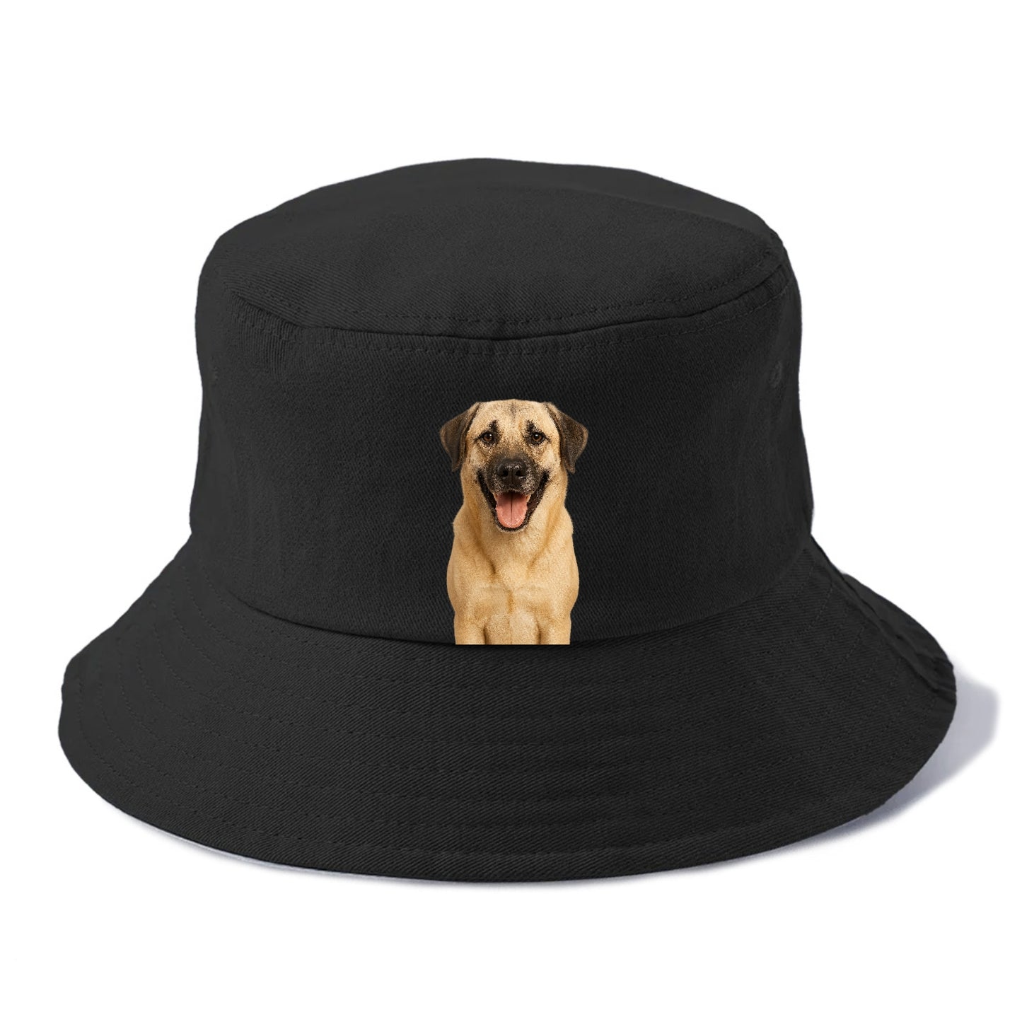 anatolian shepherd portrait design Hat