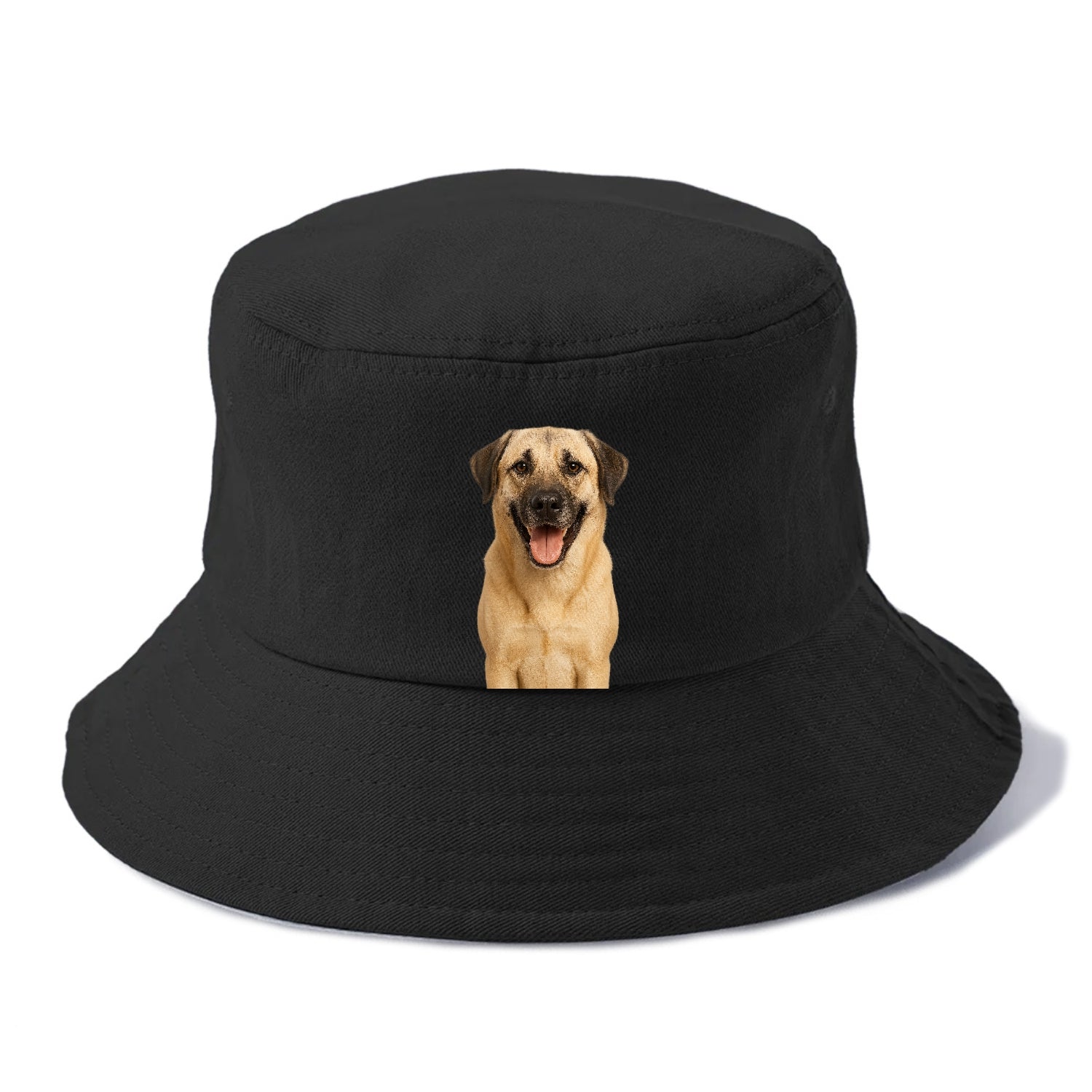 anatolian shepherd portrait design Hat