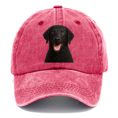 coated retriever: spirited & iconic Hat