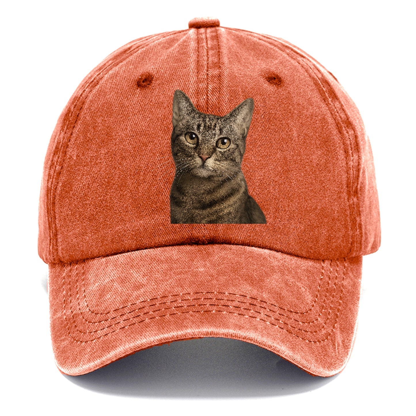 curious-cat-inquisitive-nature Hat