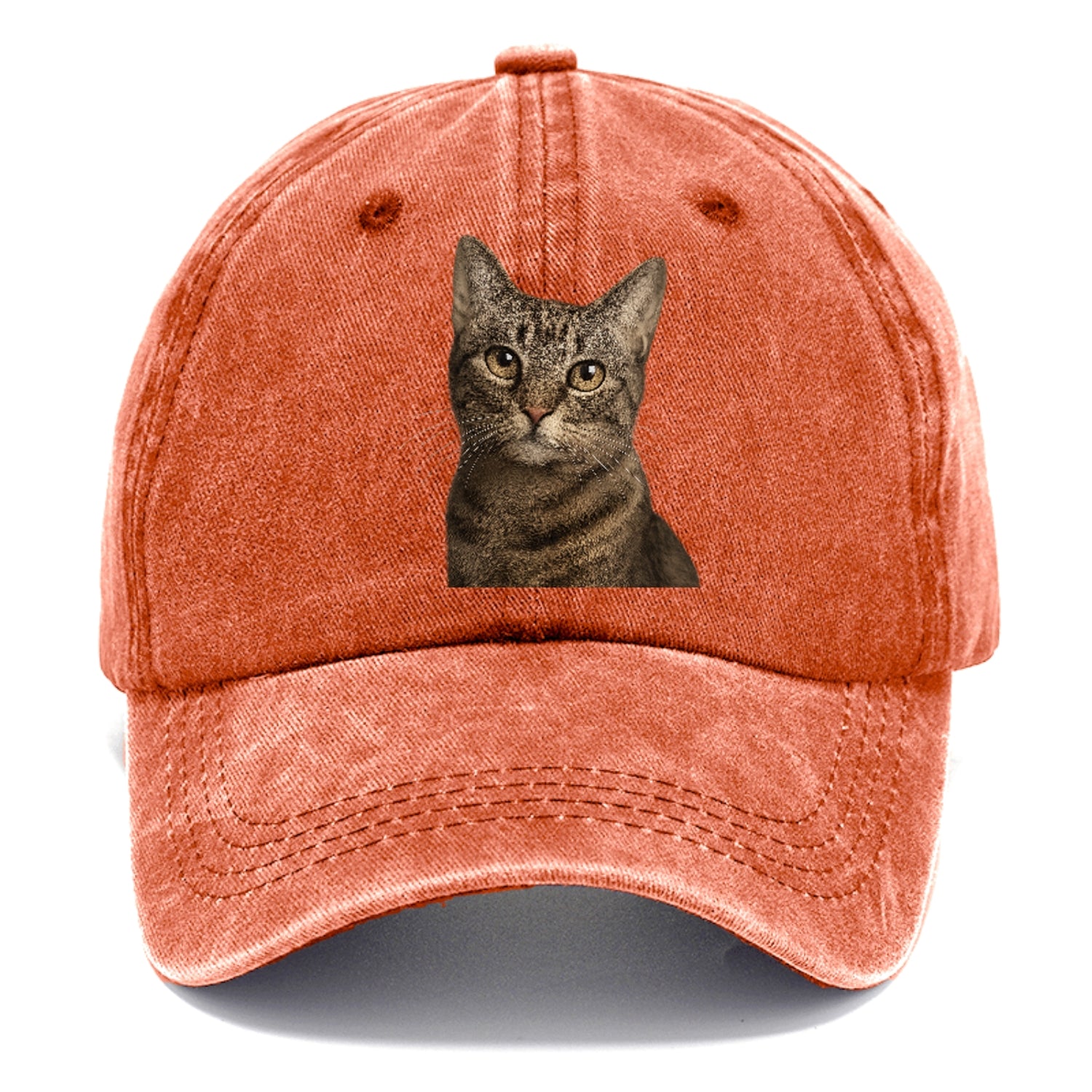 curious-cat-inquisitive-nature Hat